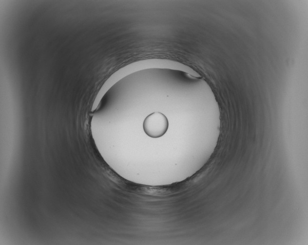 X0000112480336200909141148