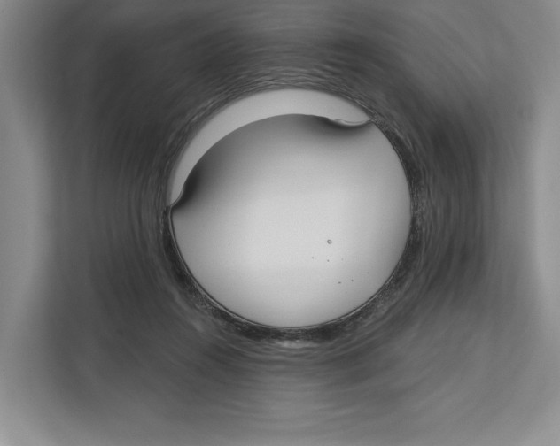 X0000112480360200909141148