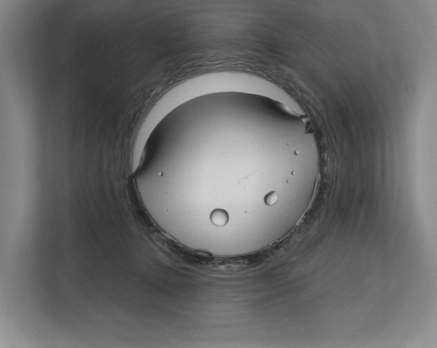 X0000112480368200909141148