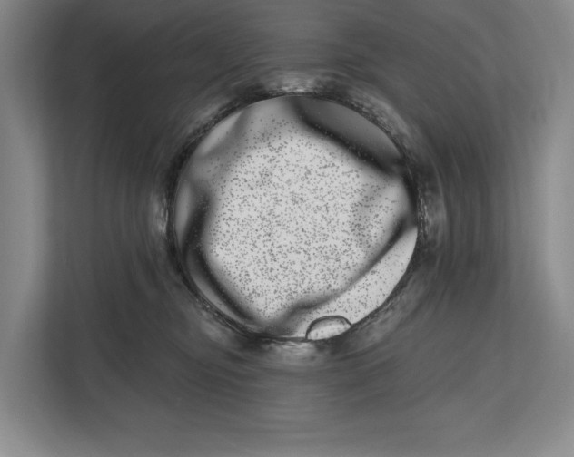 X0000112480374200909141148