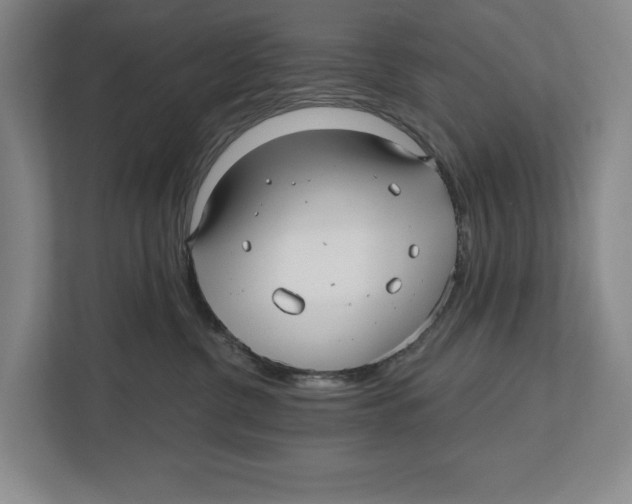 X0000112480380200909141148