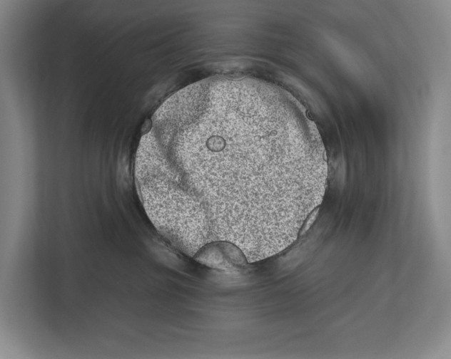 X0000112480381200909141148