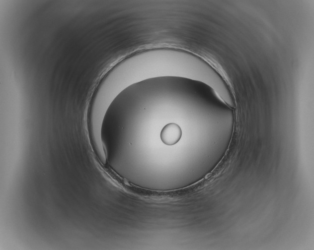 X0000112480389200909141148