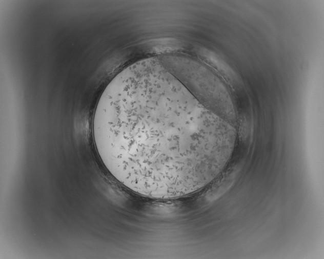 X0000112480405200909141148