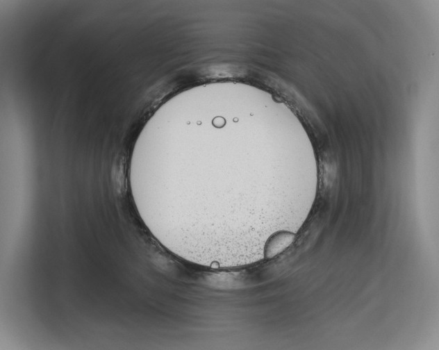 X0000112480422200909141147