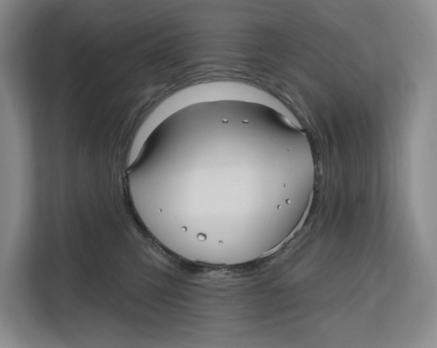 X0000112480423200909141147