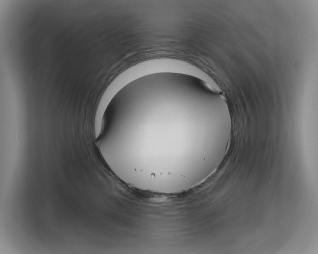 X0000112480425200909141147