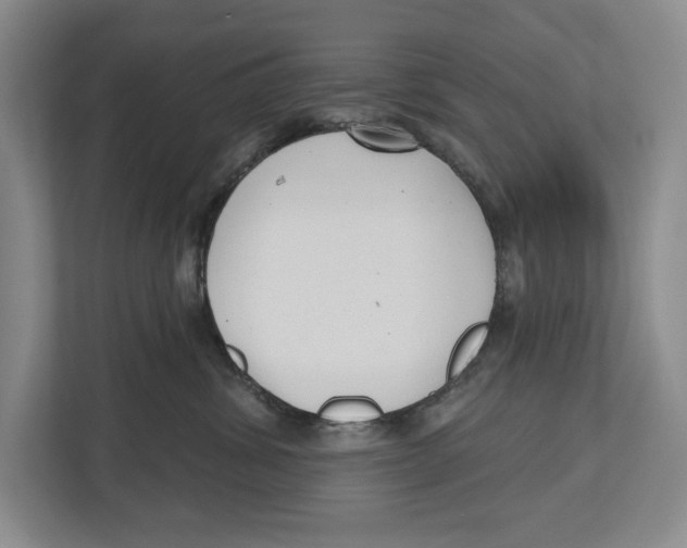 X0000112480428200909141147