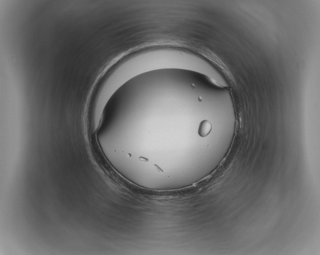 X0000112480436200909141146