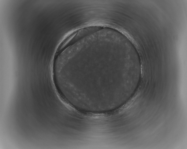 X0000112480438200909141147