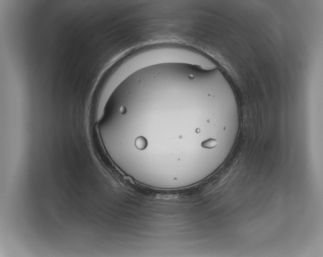 X0000112480440200909141147