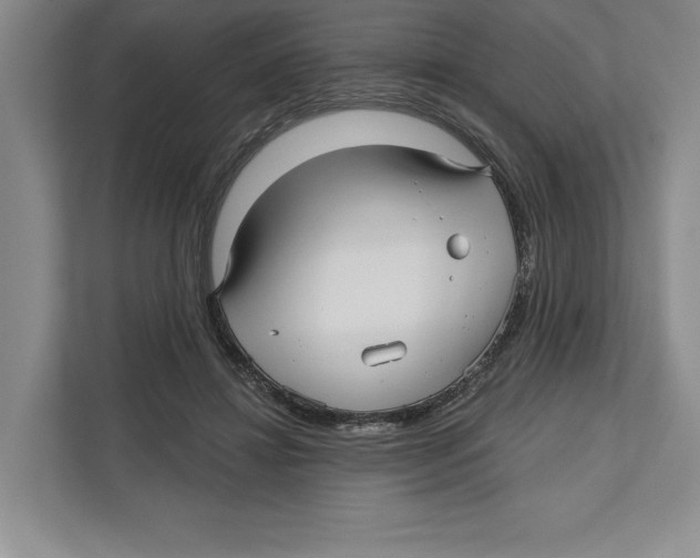 X0000112480452200909141147