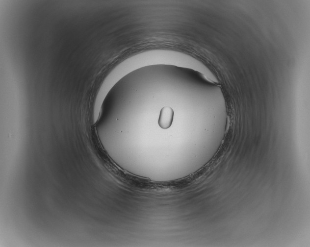 X0000112480456200909141147