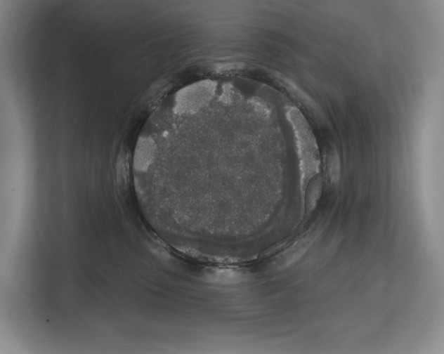 X0000112480475200909141147