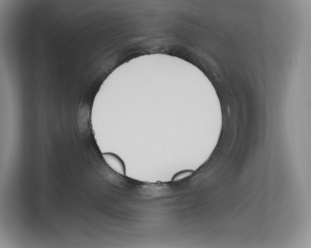 X0000112480480200909141147