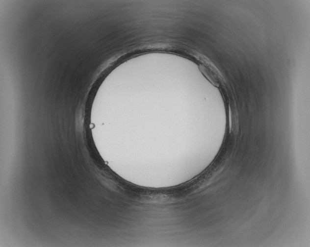 X0000112480483200909141146