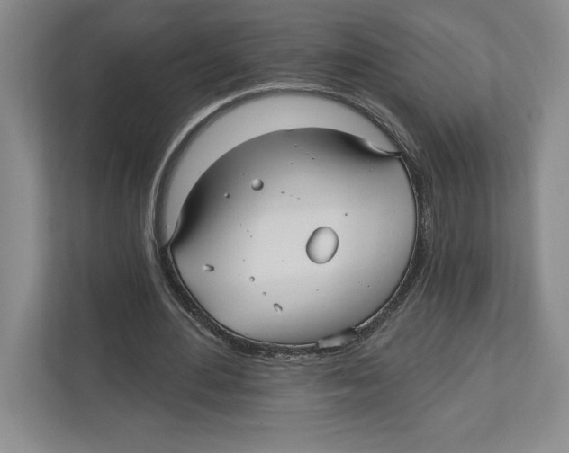 X0000112480484200909141146