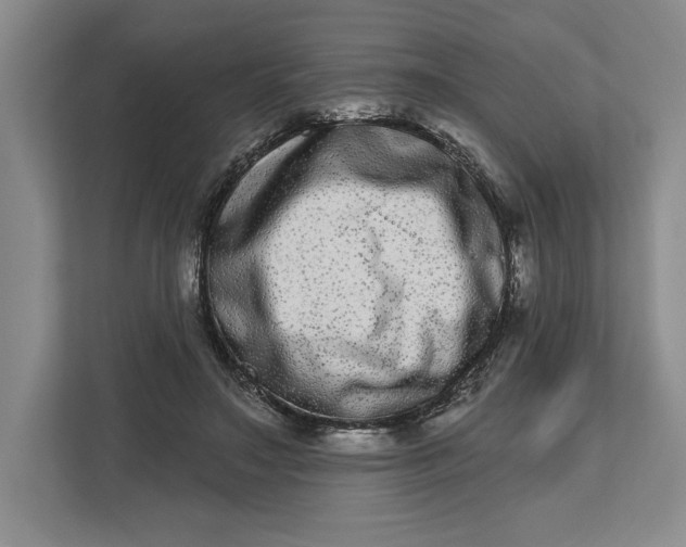 X0000112480499200909141146