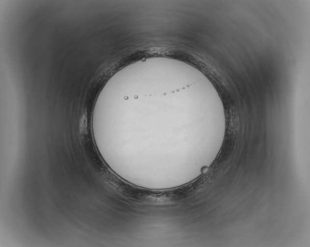 X0000112480502200909141146