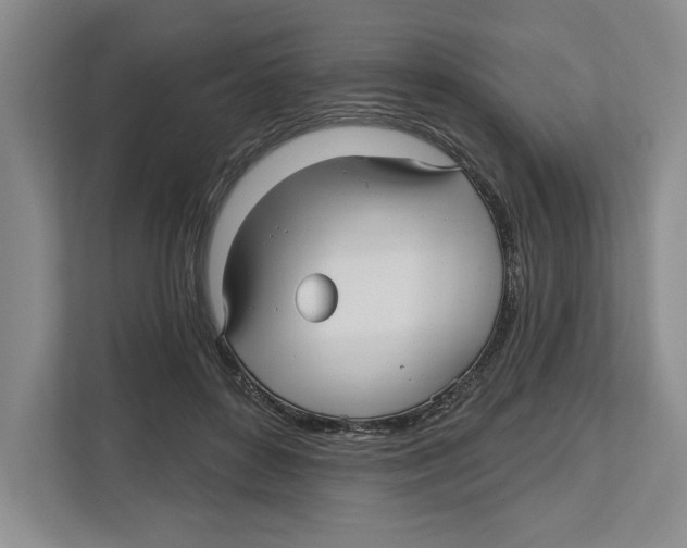 X0000112480504200909141146