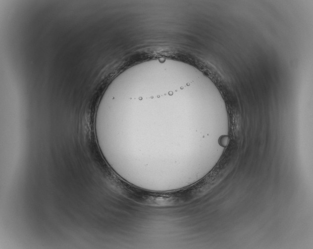 X0000112480506200909141146