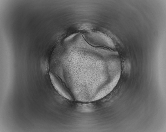 X0000112480517200909141146