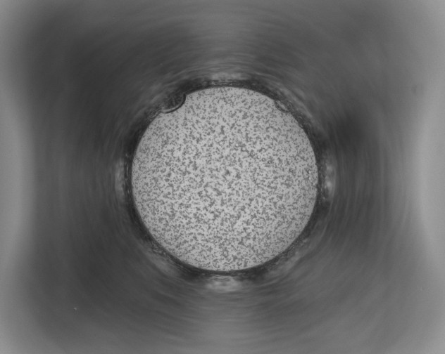 X0000112480519200909141146