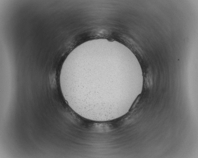 X0000112480520200909141146