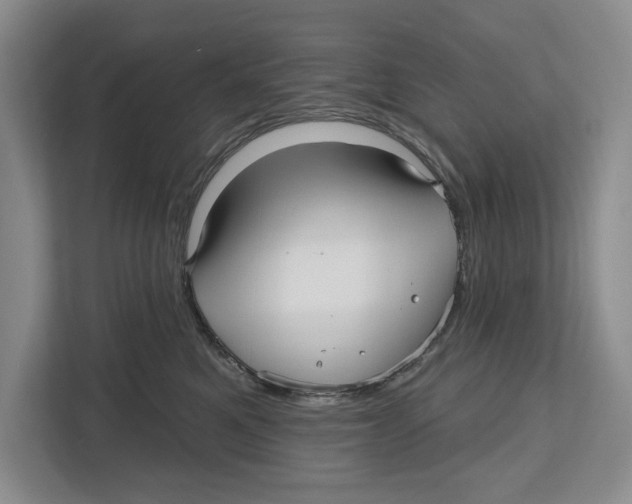 X0000112480521200909141146