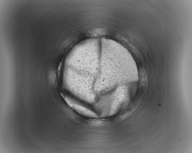 X0000112480523200909141146