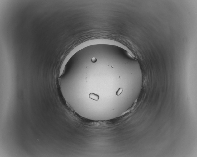 X0000112480524200909141146