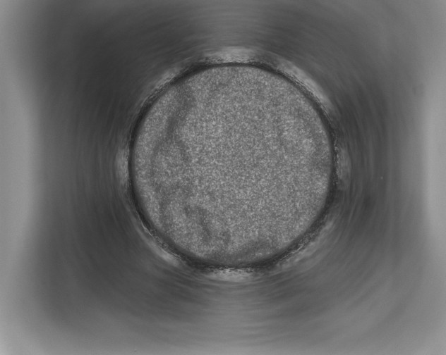 X0000112480537200909141145