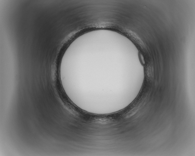 X0000112480540200909141145