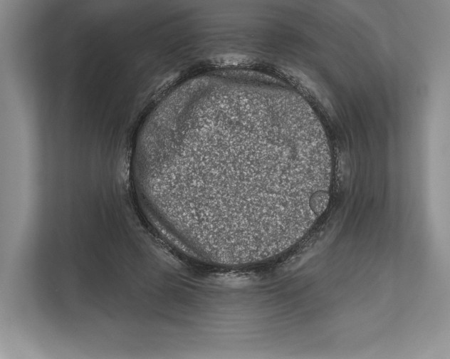 X0000112480545200909141145