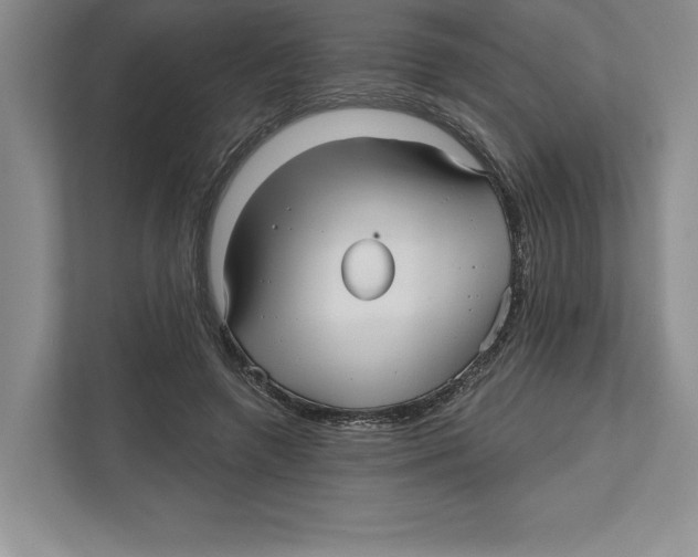 X0000112480546200909141145