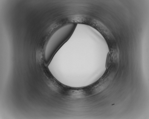 X0000112480548200909141145