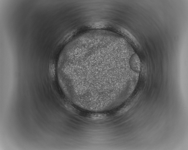 X0000112480549200909141145