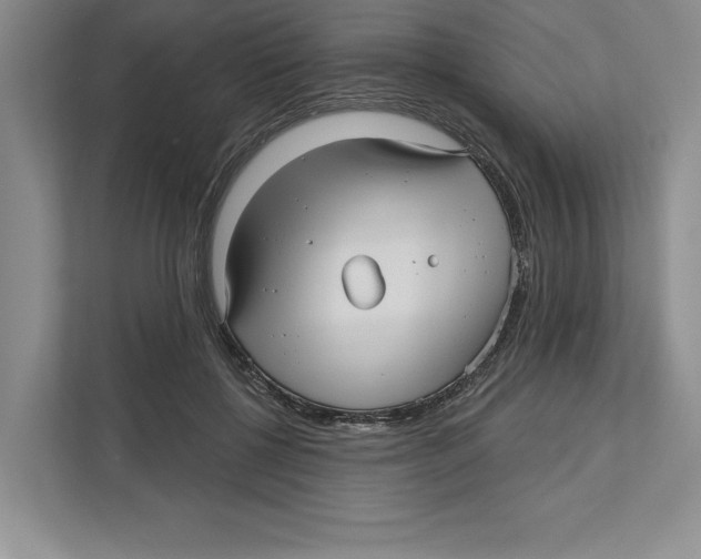 X0000112480552200909141145