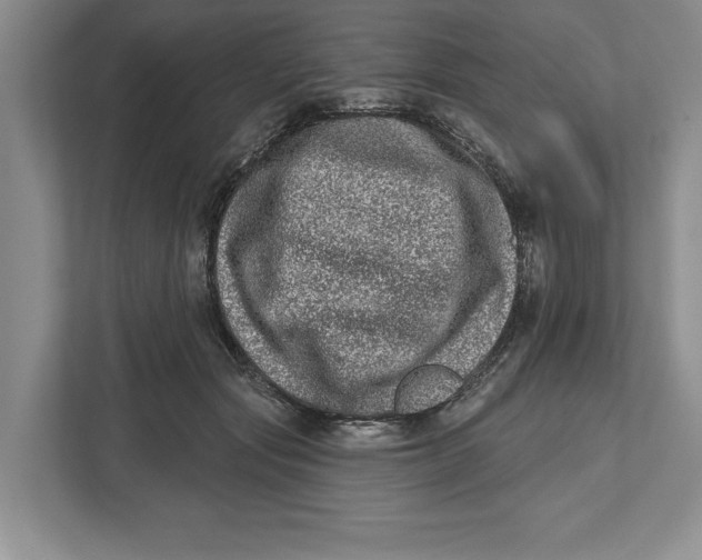 X0000112480557200909141146