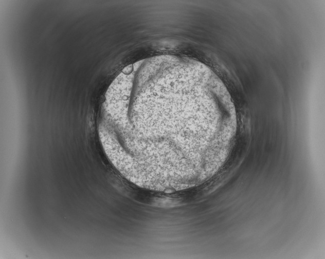 X0000112480561200909141146