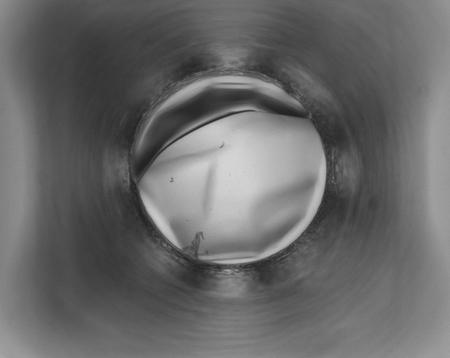 X0000112480562200909141146