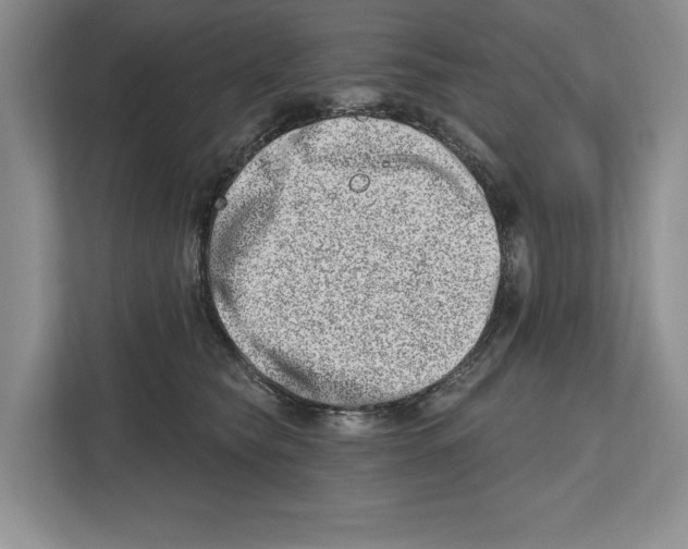 X0000112480565200909141146