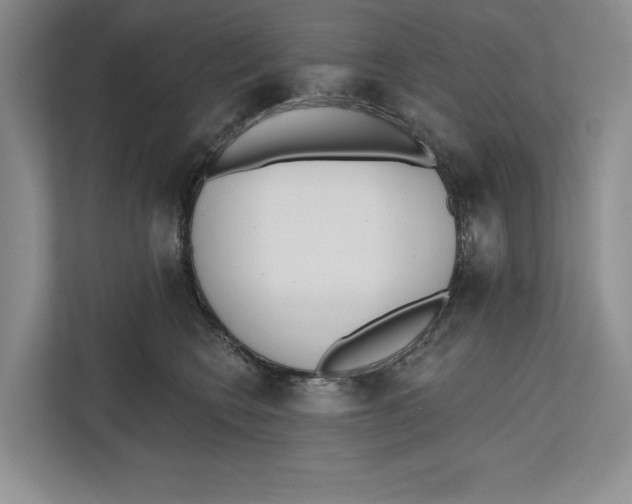 X0000112480566200909141146