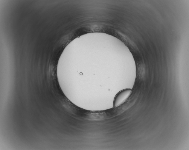 X0000112480571200909141146