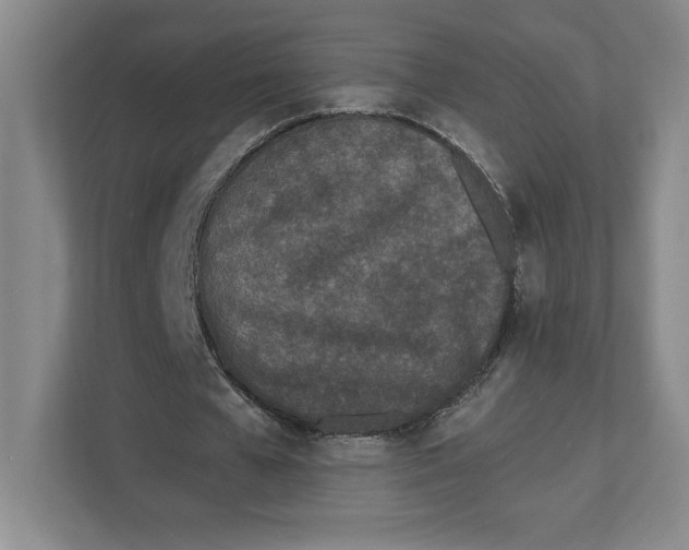 X0000112480577200909141145