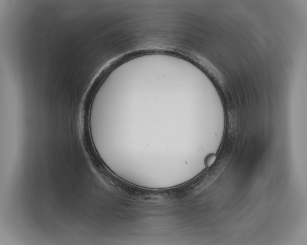 X0000112480580200909141145