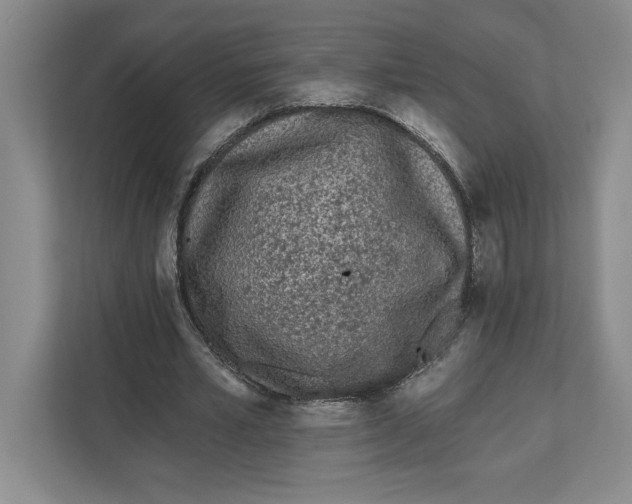 X0000112480581200909141145