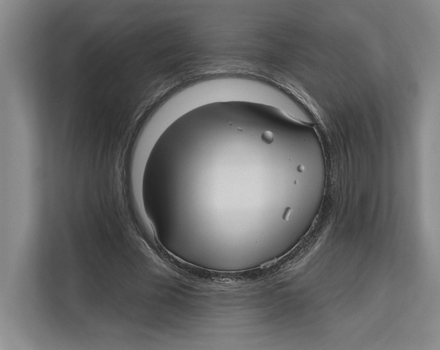 X0000112480585200909141145