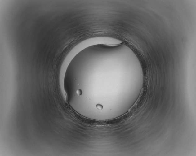 X0000112480595200909141145