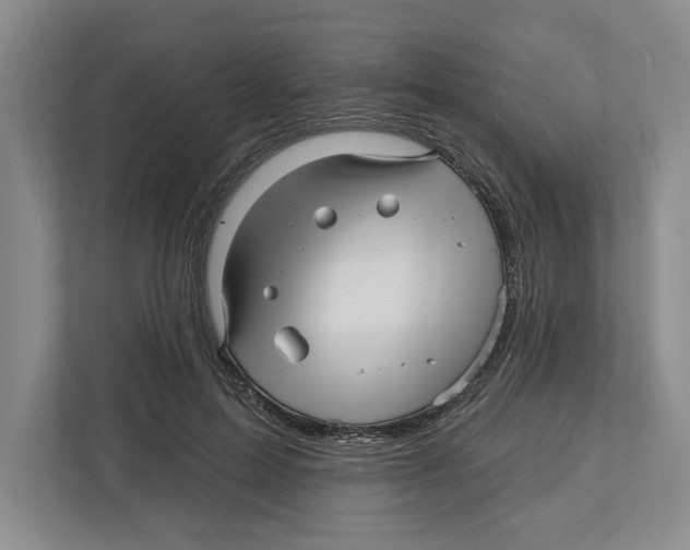 X0000112480599200909141145